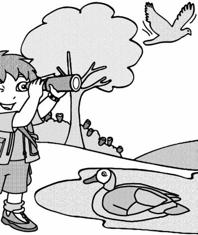 Spurensuche im Rottenschwiler Feuchtgebiet