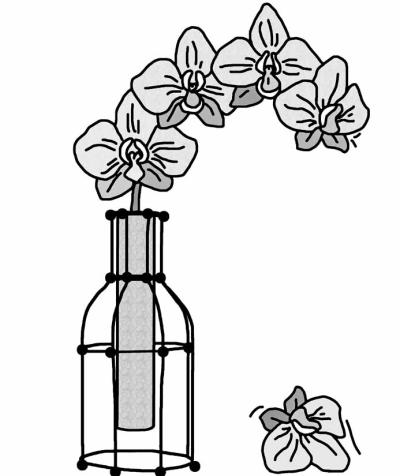 Bunte Vase für Solitärblume