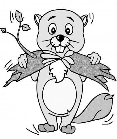 Dem Biber auf der Spur