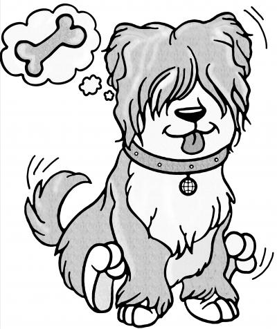 Hunde verstehen lernen