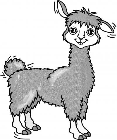 Lama Trekking mit Brätelplausch