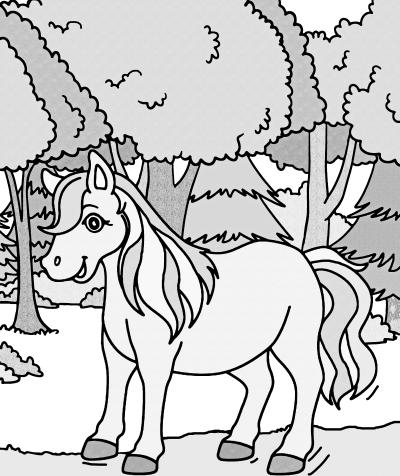 Ponytrekking auf dem Freiämter Sagenweg