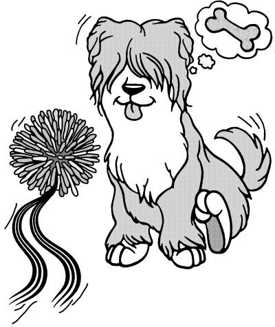 Schnüffelball für Hunde oder Katzen