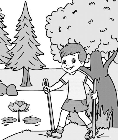 Albisturm & Türlersee: Wandern & Baden